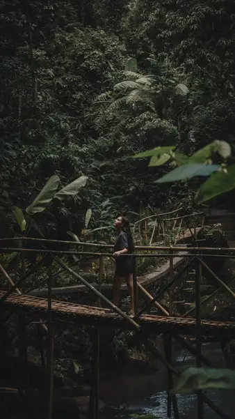 A rope bridge deep in the jungle