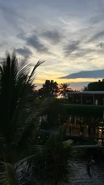 Sunset over the palms