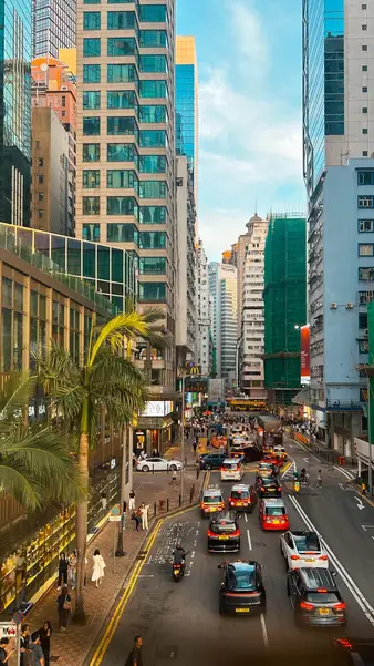 Traffic and a palm tree on a main road
