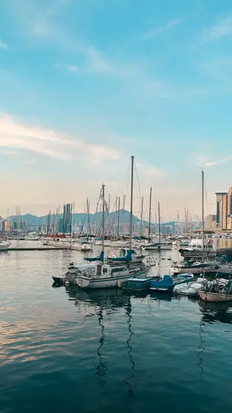 Masts in the typhoon shelter, towers behind