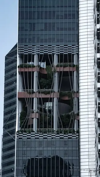 Planted recesses cut into a glass office tower