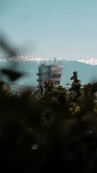 The sea and the mountains through the leaves